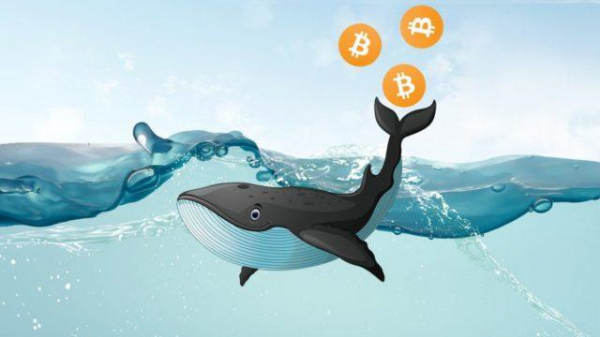 Биткоин-кошелек вышел из спячки спустя 12 лет