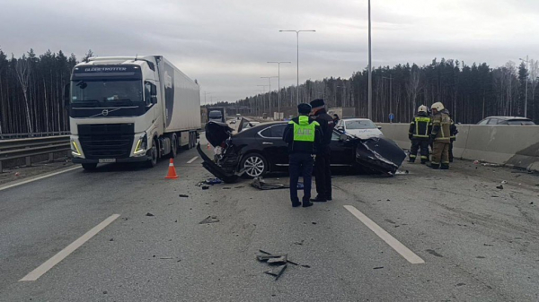 За год в Екатеринбурге в авариях погибли 74 человека